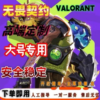 无畏契约「VAL」辅助