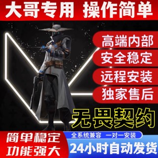 无畏契约「东北-村瓦」外挂