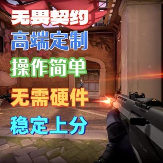 无畏契约「MoMo」辅助